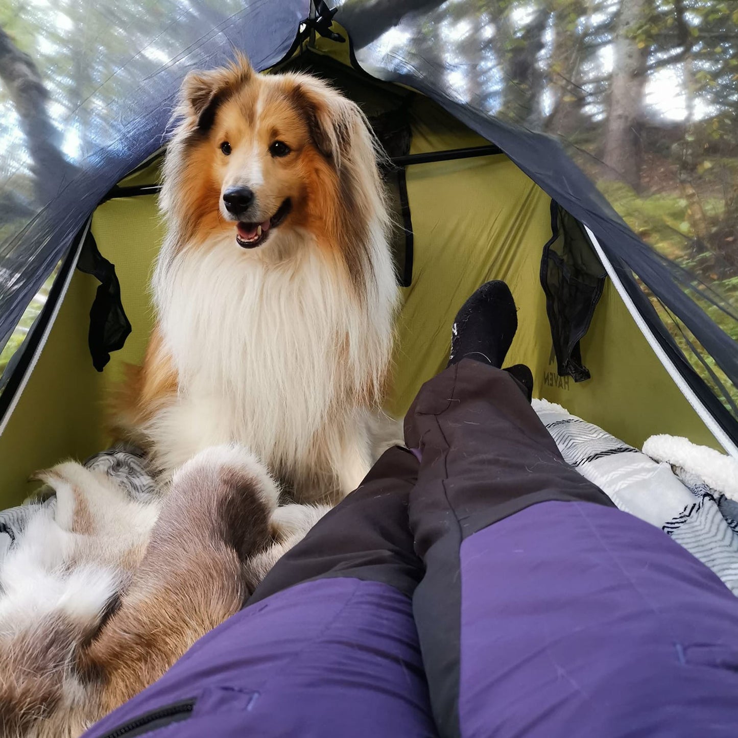 HavenHammocks™ The Ultimate XL Hammock - VIP