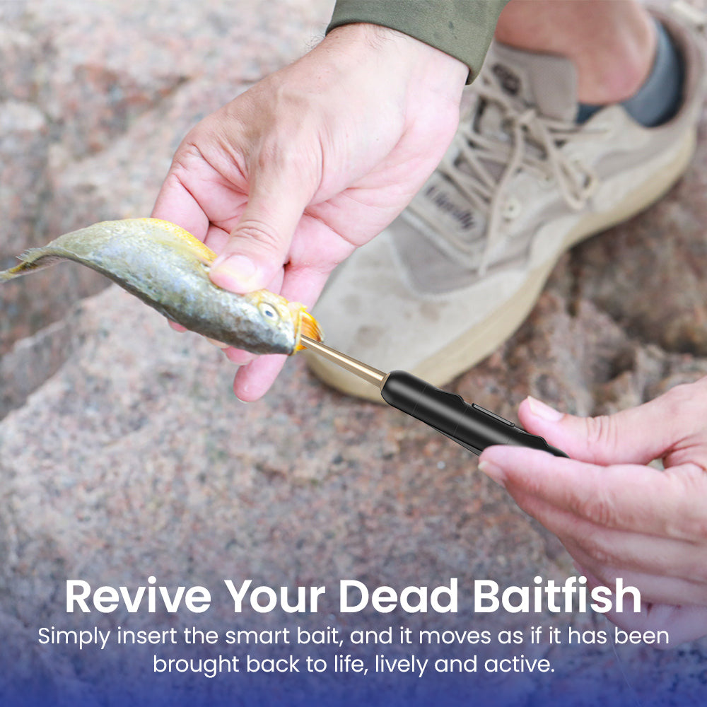 Kanama Smart Bait Mini – Catch More Fish, Faster: Sonic-Triggered Smart Bait for Pro Anglers - VIP