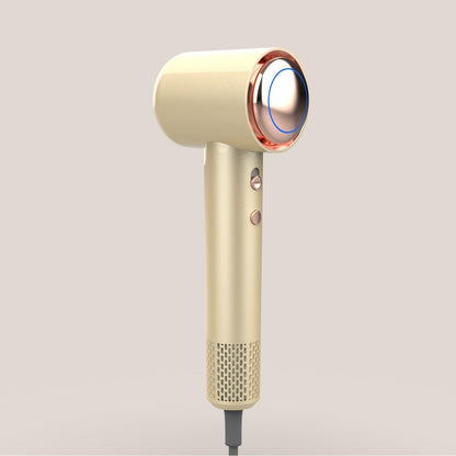 SilkDrive Ionic Pro – Fast-Drying Hair Dryer with Precision Airflow & 4 Heat Modes - VIP